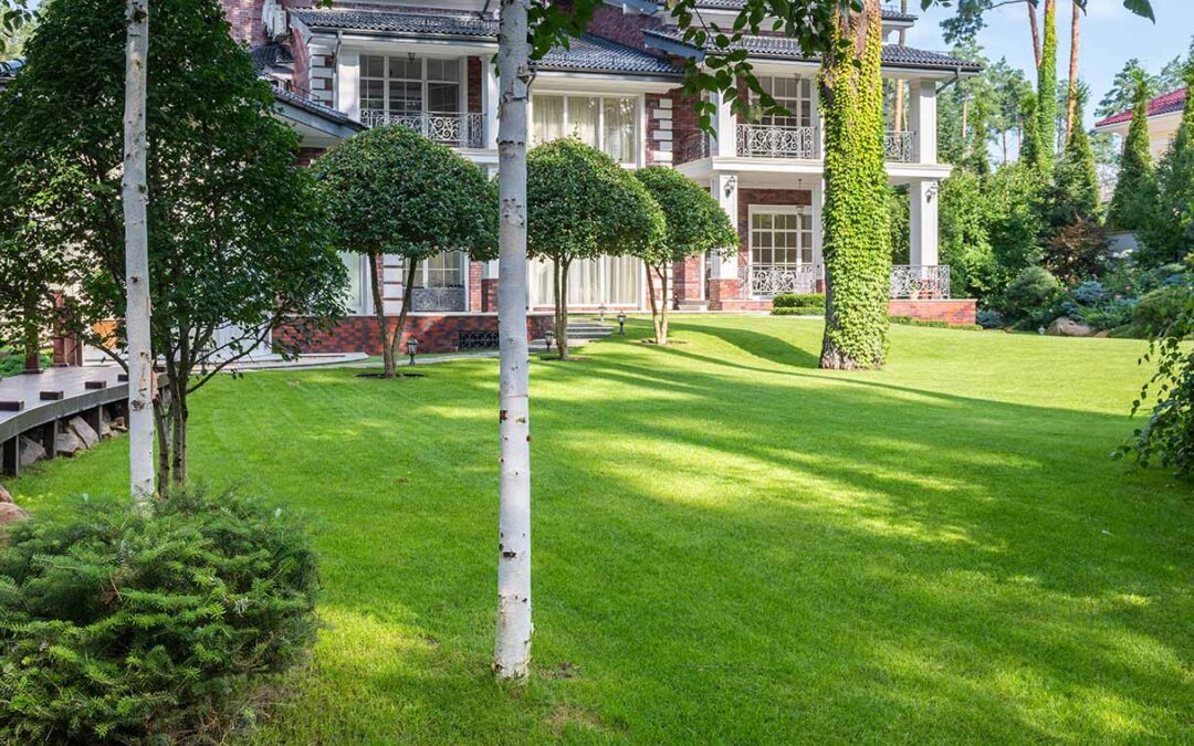 7 Secrets to a Year-Round Lush, Green Lawn
